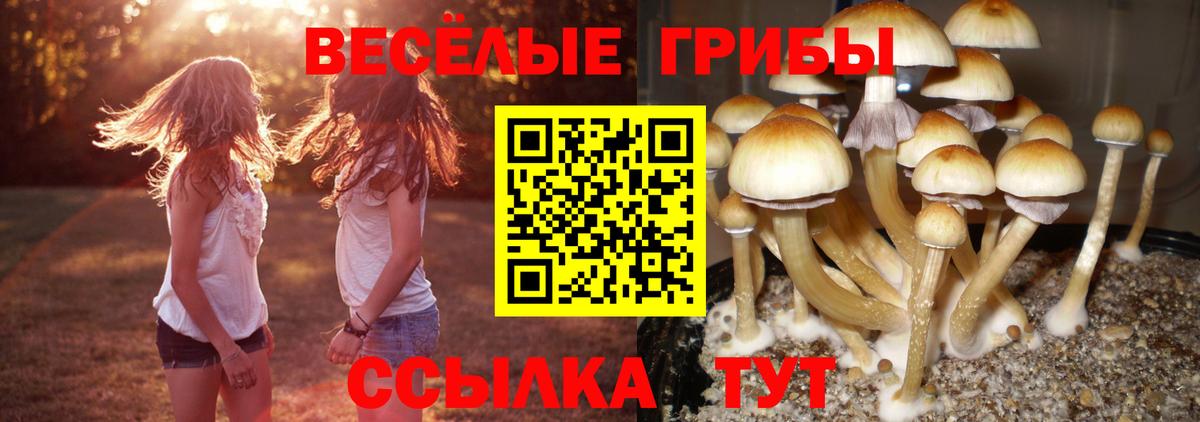 Галлюциногенные грибы мицелий Шелехов